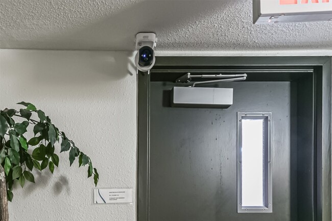 Building Photo - 1025 Swanson St