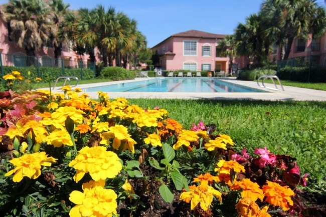 25 Meter Heated Lap Pool - Las Palmas