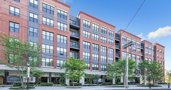 Interior Photo - Olive & Wooster