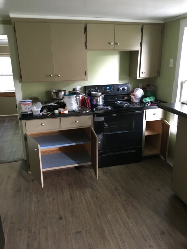 kitchen - electric stove, refrigerator, dishwasher - 231 N Prairie St