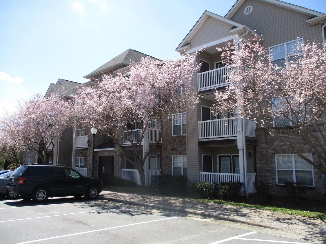 Beautiful 2 bedroom, 2 bath condo for rent! - Beautiful 2 bedroom, 2 bath condo for rent!