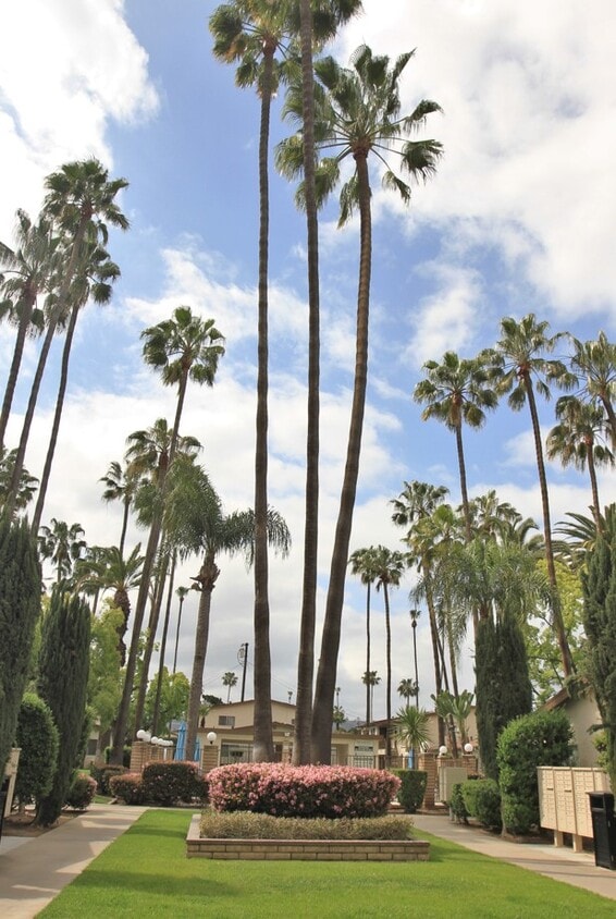 333 Apartments for Rent in El Cajon, CA Westside Rentals