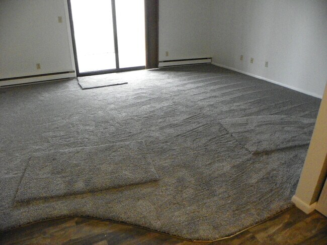 Living room - 1239 Madison Ave