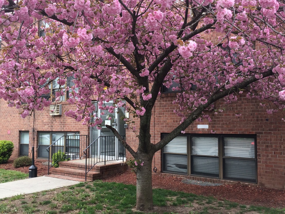 Exterior of Building - 55 Brookside Ave