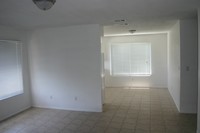 Noel Studios