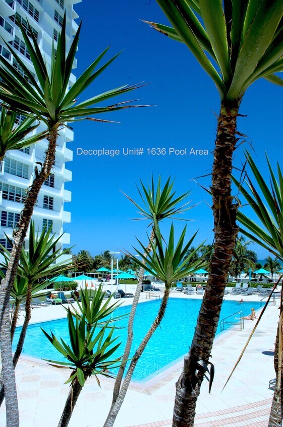 Pool - 100 Lincoln Rd