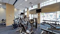 The 290 Fitness Center is a thoughtfully designed, single-level facility that offers a comprehensive workout environment for users of all fitness levels. The space features soaring ceilings with a clean drop-tile grid and recessed lighting, contributing to an open, airy atmosphere throughout. Large windows along the perimeter flood the interior with natural light and provide views of the surrounding outdoor environment, enhancing the overall workout experience.

The fitness floor is well-organized and outfitted with a diverse array of modern equipment. Cardio machines, including ellipticals and stationary bikes, are arranged toward the center of the space, offering users a variety of aerobic training options. A dedicated free weights area lines one wall, featuring a full rack of dumbbells and benches to accommodate strength training routines. Cable and multi-use resistance machines are positioned toward the back, supporting a range of functional and targeted muscle exercises.

Multiple flat-screen televisions are mounted at strategic points throughout the space, allowing users to stay entertained or informed during their workouts. The blue-toned carpeted flooring adds both comfort and visual contrast to the light-colored walls, creating a motivating and professional fitness atmosphere.