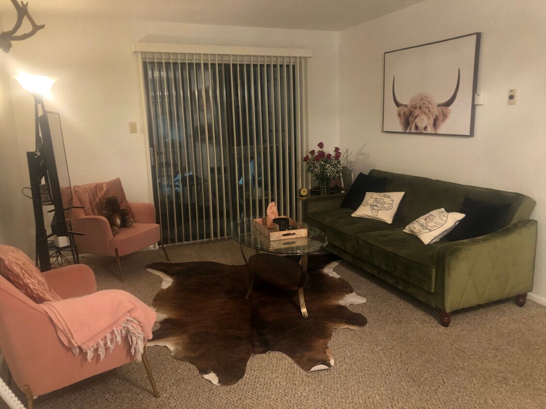 Living Room - 941 Calle Mejia