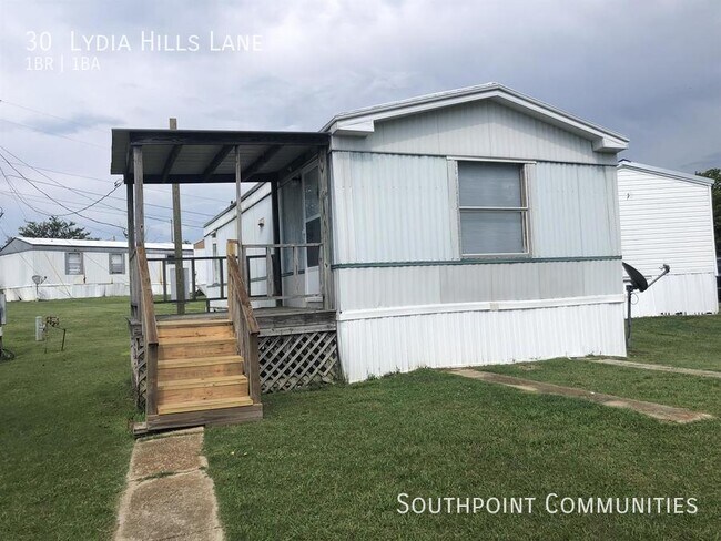 Building Photo - 30 Lydia Hills Ln