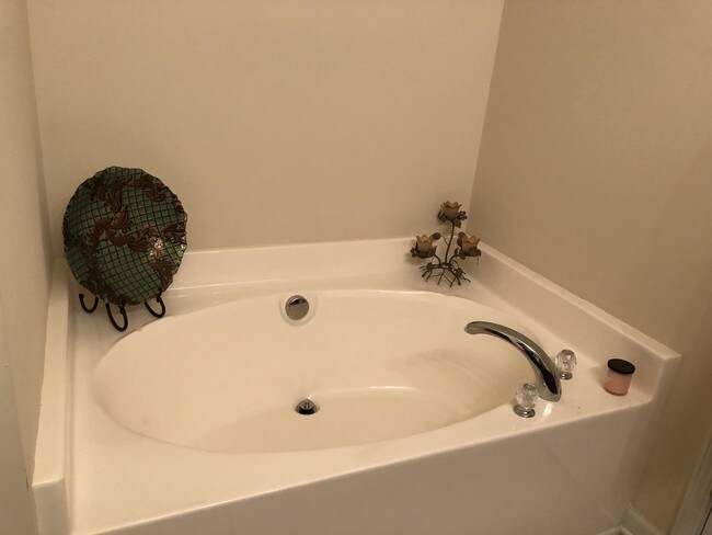 Amplia bañera en el baño principal - 920 Morris Dale Ln
