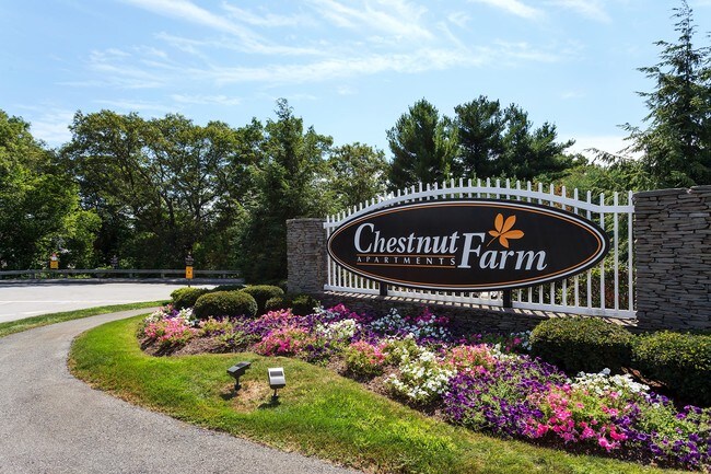Foto del edificio - Chestnut Farm Apartments