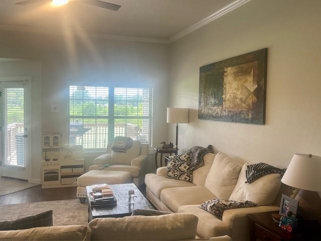 Building Photo - 3907 Appaloosa Way