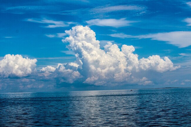 Foto del edificio - 2046 Beach Blvd