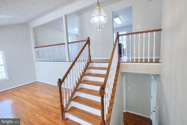 Foto del edificio - 5026 Dorchester Cir