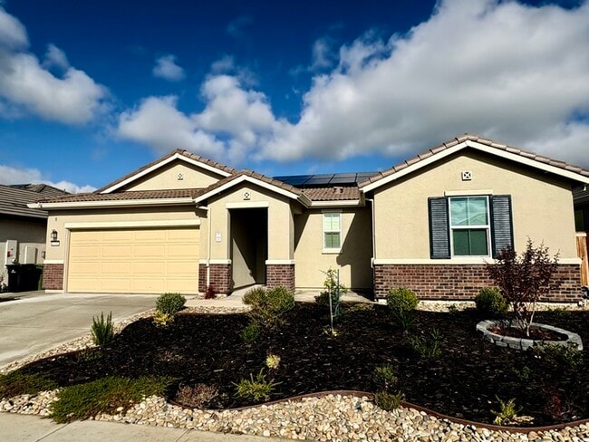 Building Photo - Beautiful Single Story in Lincoln! 4 Bedroom with no back neighbors! Beautiful Yard!