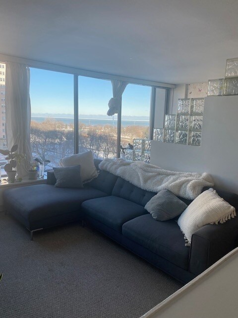 Foto del edificio - 5455 N Sheridan Rd