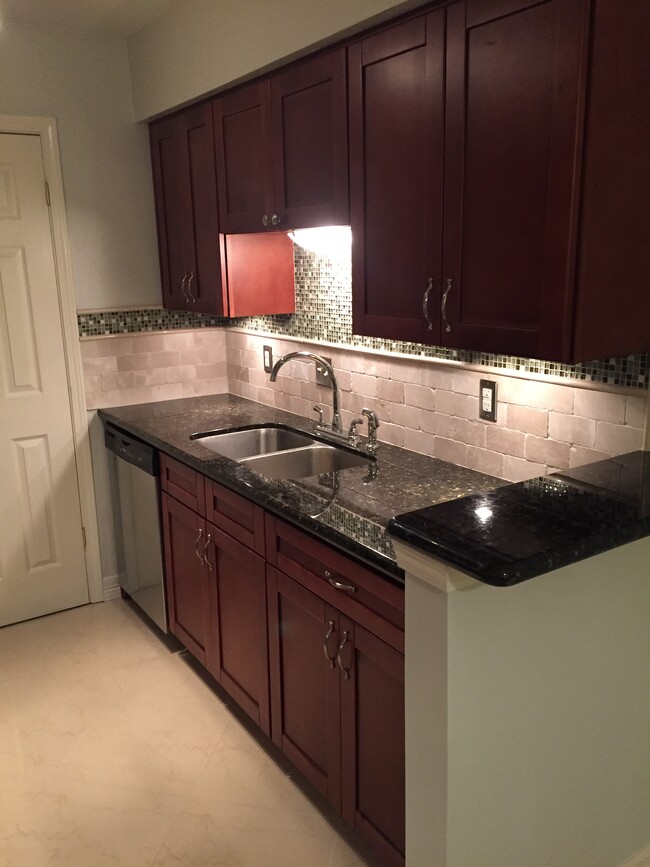 Stainless steel dishwasher and sink; under-cabinet lighting - 7555 Katy Freeway