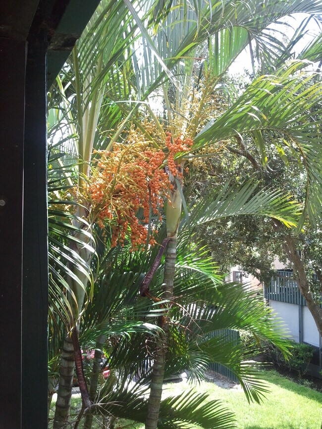 Foto del edificio - 11538 7th Ln N