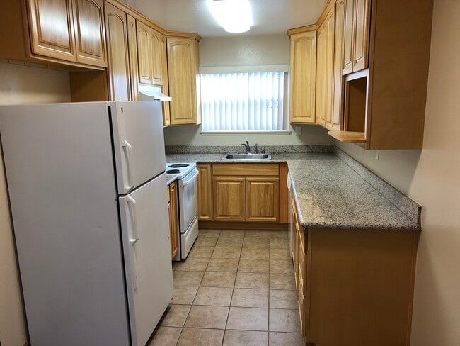 Modern Kitchen - 646 Arbutus Ave