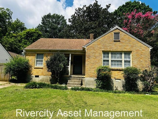 STUNNING BERCLAIR GEM!!!! - STUNNING BERCLAIR GEM!!!! House