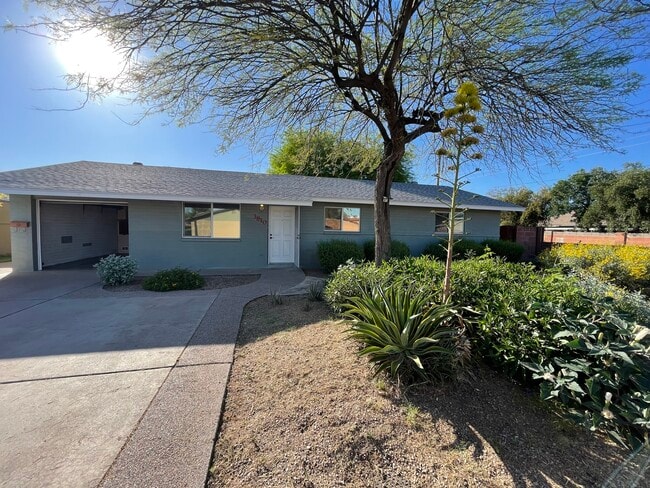 Building Photo - 3810 S La Corta Dr