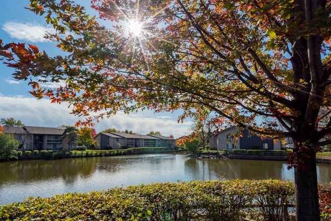 Building Photo - Lakeside Apartments