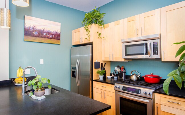 Kitchen - 80 Webster Ave