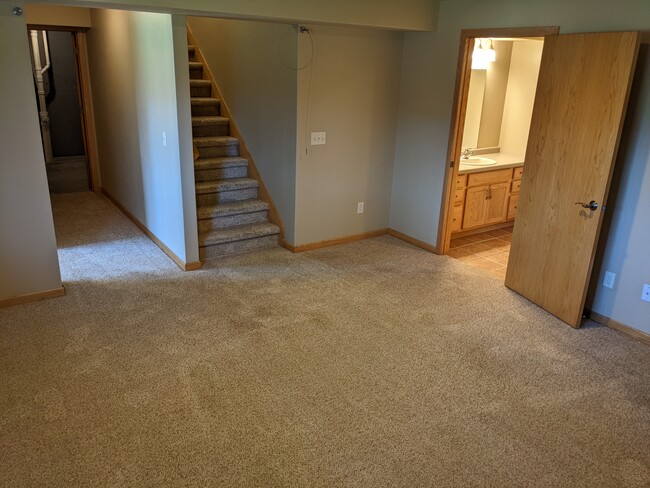 Lower Family Room - 5335 Brookview Dr