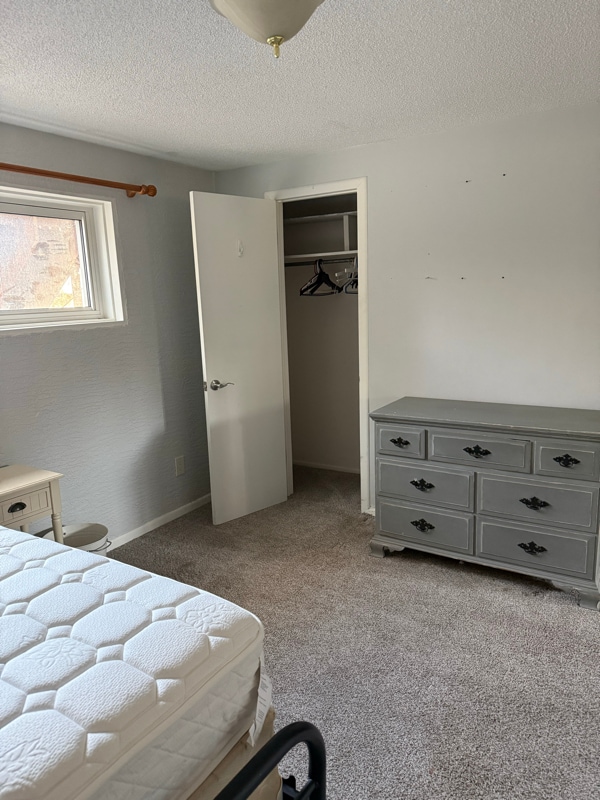 Building Photo - 3634 Alpine Pl