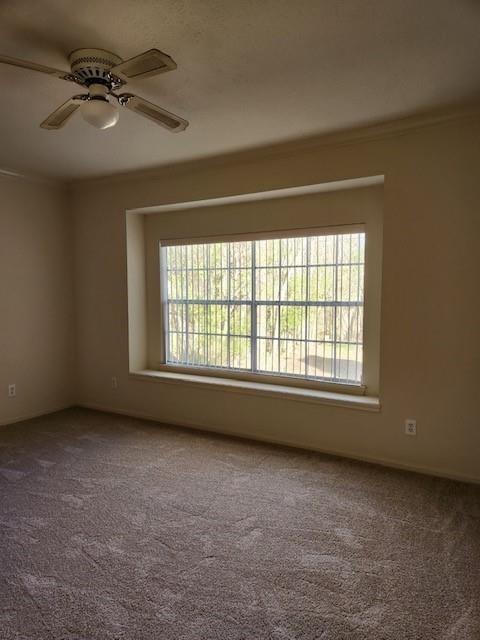 Foto del edificio - 1306 Mabry Mill Rd