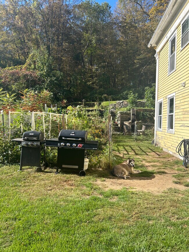 Jardín comunitario y parrillas - 30 Wall St