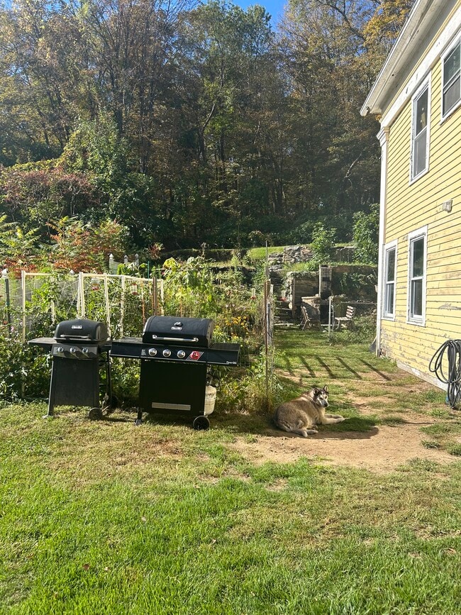 Community Garden and Grills - 30 Wall St