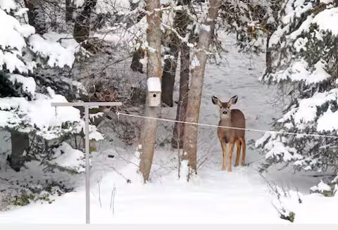 Foto principal - 6109 Woodland Dr