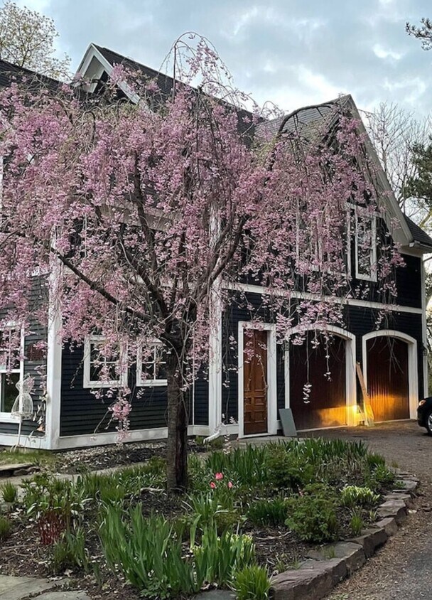 Photo - 195 N Prospect