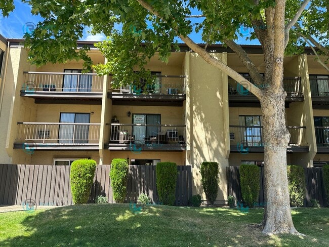 Building Photo - 1 WEEK FREE!!!  Fully Furnished Studio Ava...