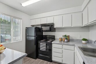 Interior Photo - Sahara and Playa Palms