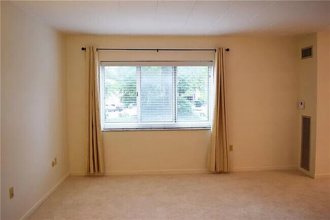 Main living area - 5 Bayard Rd