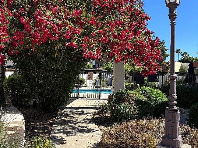 Foto del edificio - 5624 E Kelton Ln
