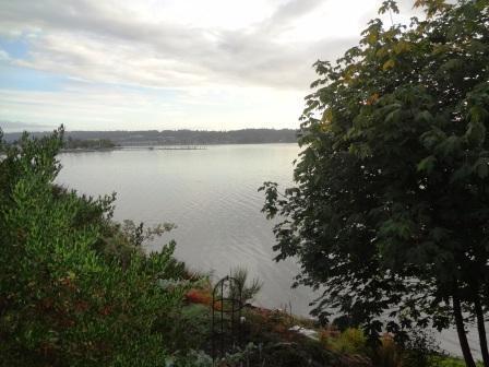 Foto del edificio - Water views, water views and more water vi...