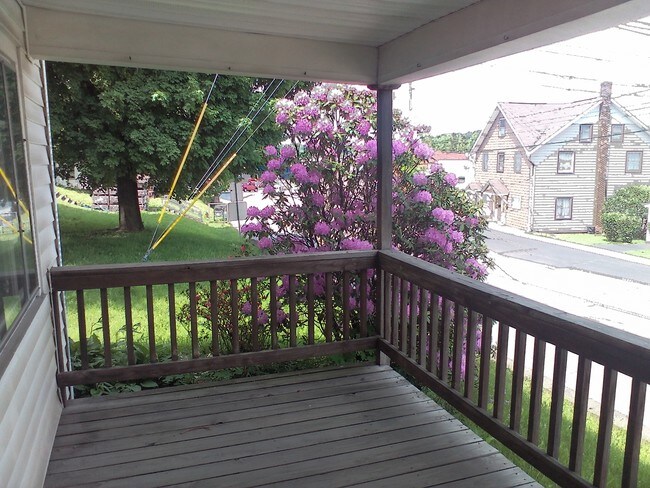 View Off Of Front Porch And Family Room - 718 S Brady St
