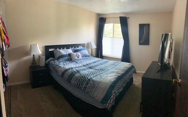 Foto principal - 1541 Delucchi Ln