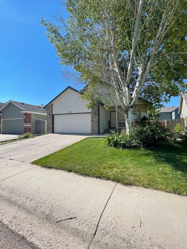 Building Photo - 765 Bluegrass Way