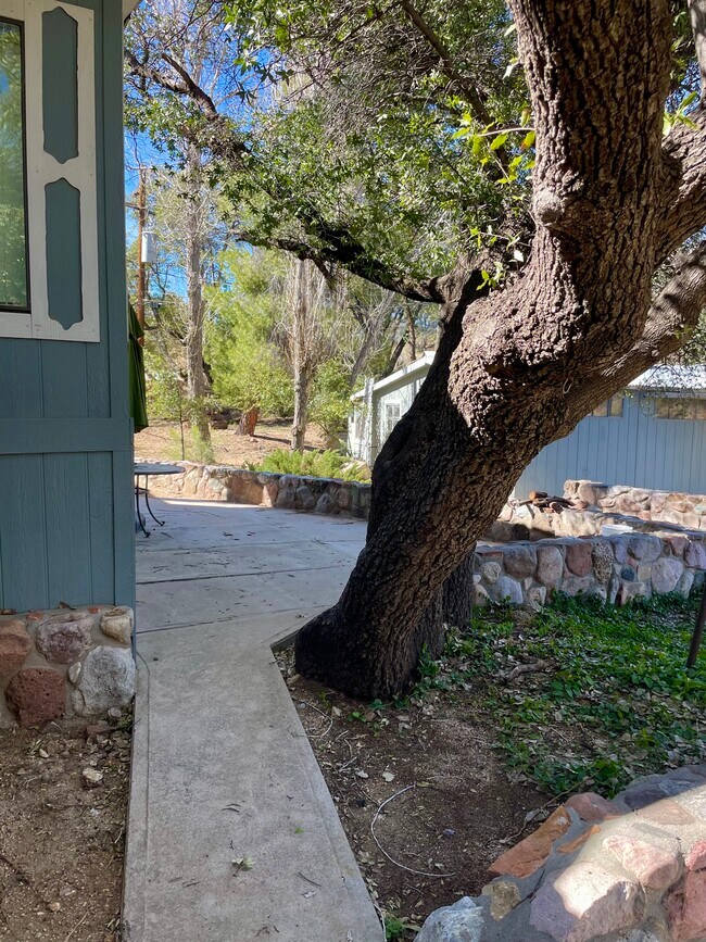 Building Photo - 1805 E Mt Lemmon Hwy