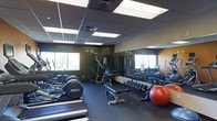 This fitness center is designed to accommodate a wide range of workout routines within a single-level layout. The space features dark-painted walls that create a focused, energetic atmosphere, complemented by a drop-panel ceiling with recessed fluorescent lighting that ensures even illumination throughout.

A full-length mirror spans one wall, visually expanding the room while allowing users to monitor their form during exercise. Natural light filters in through multiple windows along the exterior wall, providing a refreshing connection to the outdoors.

The cardio section includes treadmills positioned near the windows, while the strength training area is well-stocked with a comprehensive dumbbell rack offering a wide range of weights. A multi-function cable and weight machine anchors the center of the room, suitable for varied resistance training. Additional equipment includes a workout bench and a stability ball, catering to both functional and traditional training methods. Rubber flooring throughout the space provides safety and durability. Overall, the gym is thoughtfully arranged to maximize usable floor space while maintaining clear pathways between equipment.