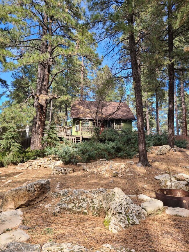 Foto del edificio - Updated Turn key Cabin In Mountainaire- CO...