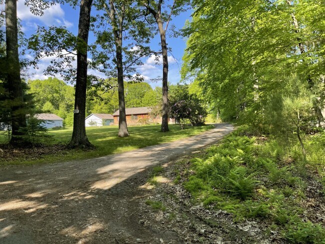 Private driveway. Home on Cul-De-Sac. - 101 Jackson Ln