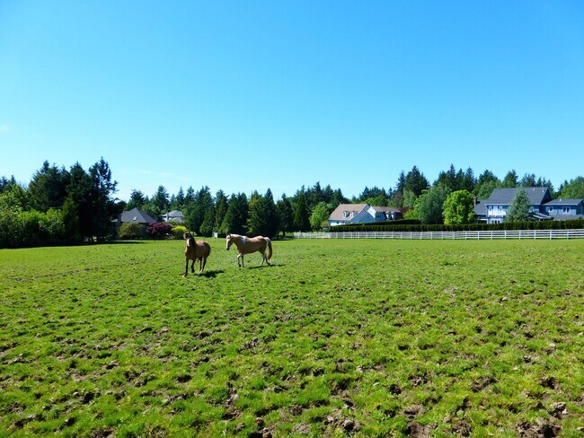 Foto del edificio - 4 bedroom Ranch with Acreage outbuilding a...