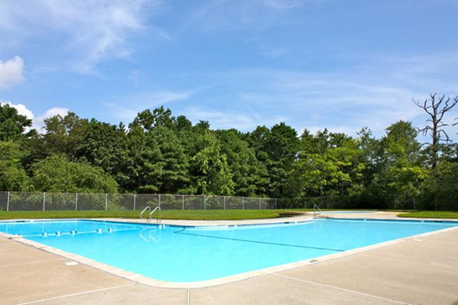 Pool - Victorian Gardens