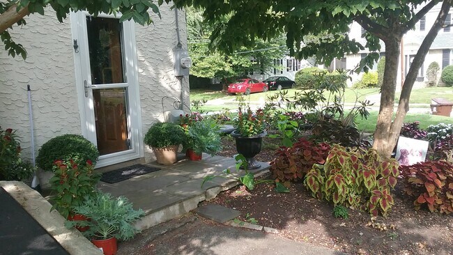 Building Photo - 18 E Albemarle Ave