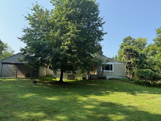 back yard - 511 E Royalton Rd
